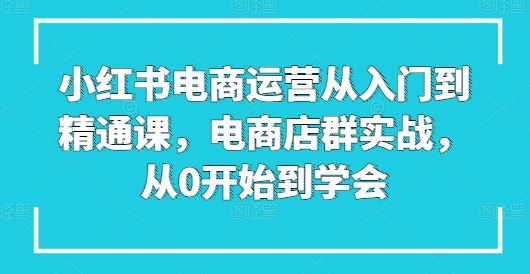 小红书电商运营从入门到精通课,电商店群实战,从0开始到学会-优优云网创