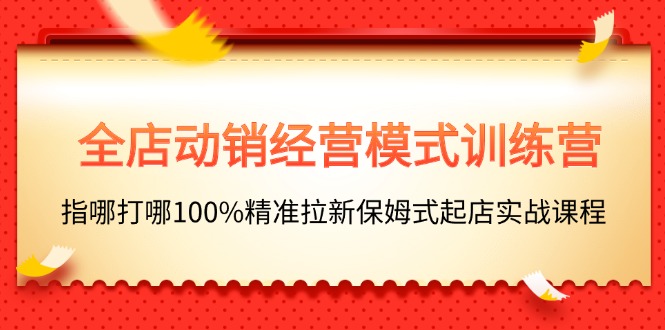 (11460期)全店动销-经营模式训练营,指哪打哪100%精准拉新保姆式起店实战课程-优优云网创
