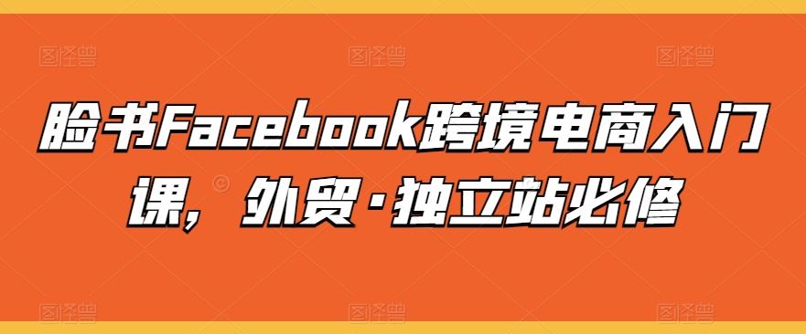 脸书Facebook跨境电商入门课,外贸·独立站必修-优优云网创