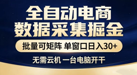 独家电商数据全自动采集项目,批量可矩阵,单窗口轻松日入3张+【揭秘】-优优云网创