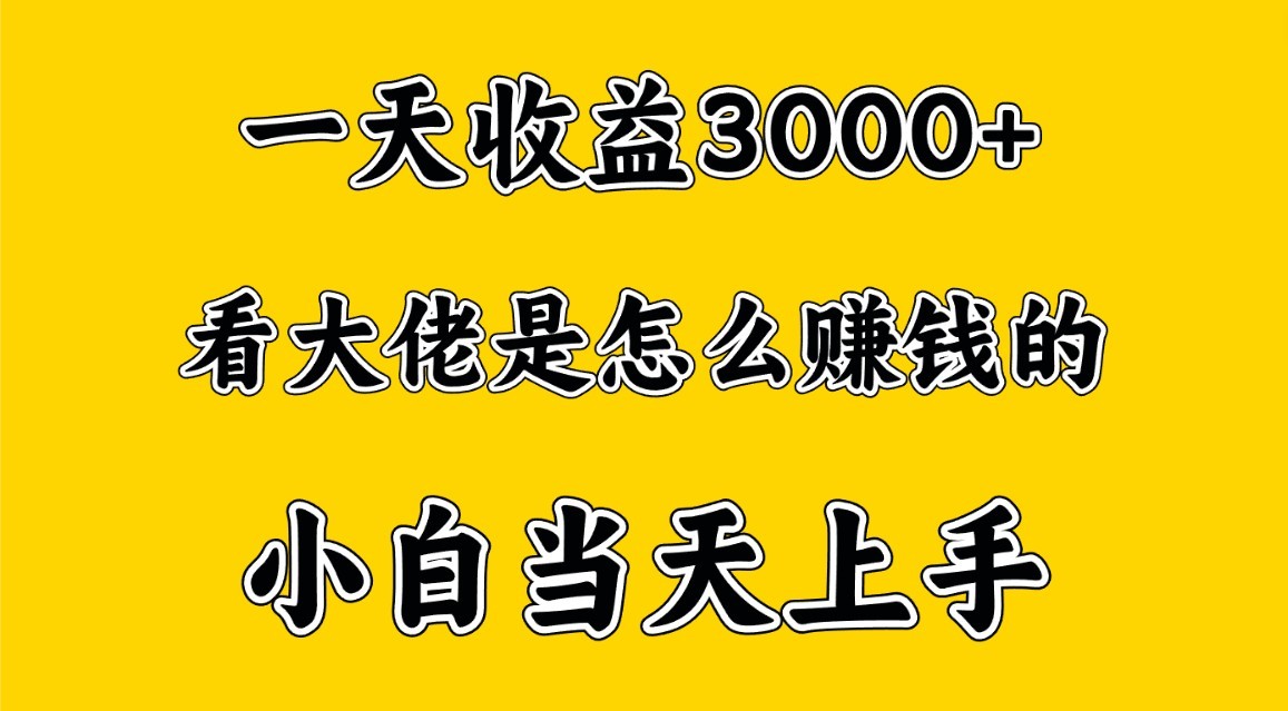 一天赚3000多,大佬是这样赚到钱的,小白当天上手,穷人翻身项目-优优云网创