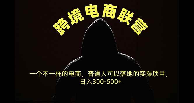 （20702期）跨境电商联营，一个不一样的电商，普通人可操作日入300-500+