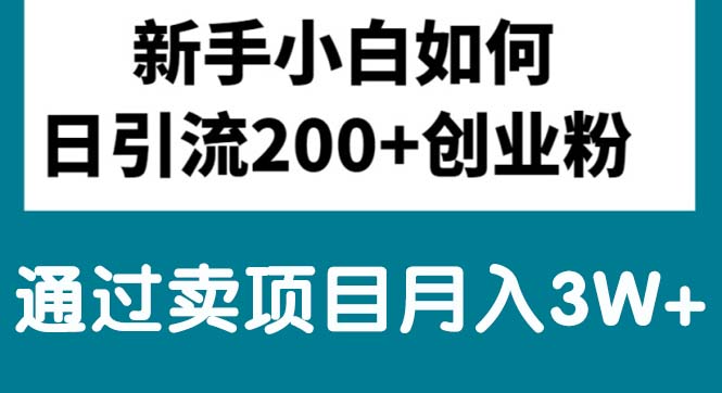 （10843期）新手小白日引流200+创业粉,通过卖项目月入3W+-优优云网创