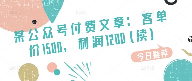 某公众号付费文章:客单价1500,利润1200(续),市场几乎可以说是空白的-优优云网创