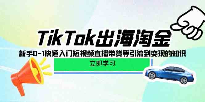 (10035期)TikTok-出海淘金,新手0-1快速入门短视频直播带货等引流到变现的知识-优优云网创