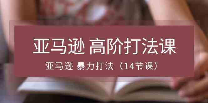 亚马逊高阶打法课,亚马逊暴力打法(14节课)-优优云网创