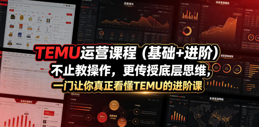 TEMU运营课程(基础+进阶),不止教操作,更传授底层思维,一门让你真正看懂TEMU的进阶课-优优云网创