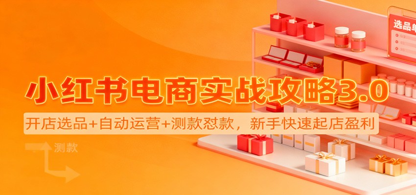 小红书电商实战攻略3.0:开店选品+自动运营+测款怼款,新手快速起店盈利-优优云网创