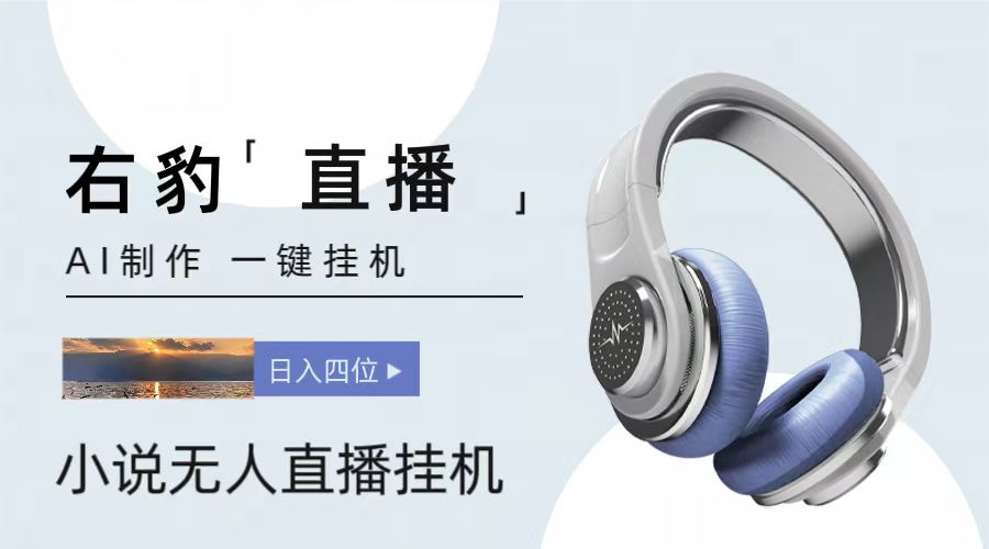 右豹小说无人直播挂机吸金项目,简单易行收益稳定, 月入1000+-优优云网创