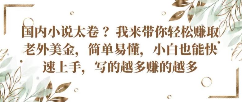 国内小说太卷 ?带你轻松赚取老外美金,简单易懂,小白也能快速上手,写的越多赚的越多【揭秘】-优优云网创