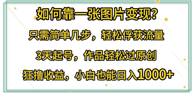 如何靠一张图片变现?只需简单几步,轻松俘获流量,3天起号,作品轻松过原创【揭秘】-优优云网创