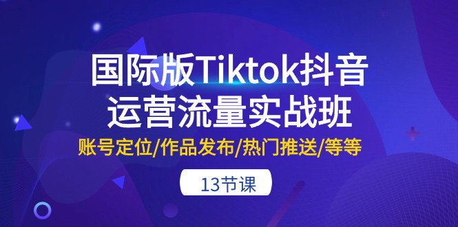 (10712期)国际版Tiktok抖音运营流量实战班:账号定位/作品发布/热门推送/等等-13节-优优云网创