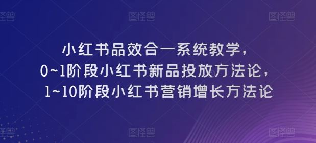 小红书品效合一系统教学,0~1阶段小红书新品投放方法论,1~10阶段小红书营销增长方法论-优优云网创